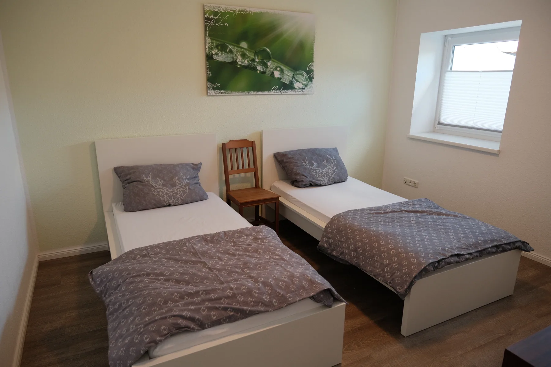 Helles Doppelzimmer mit zwei getrennten Einzelbetten